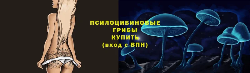 Псилоцибиновые грибы Magic Shrooms  наркошоп  Карталы 